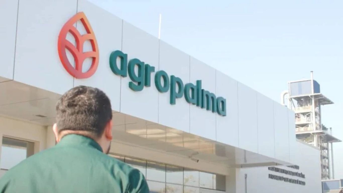 Lefosse e Mattos Filho atuam na venda da Agropalma ao grupo colombiano Daabon