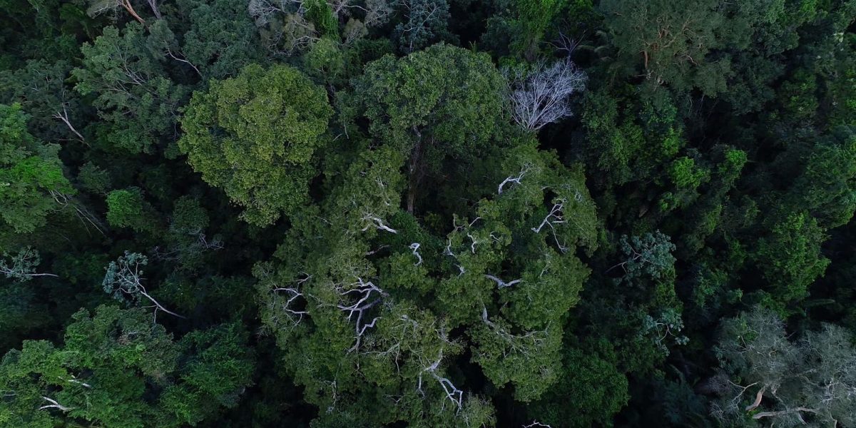 BNDES e Previdência lançam curso de investimento sustentável para fundos de pensão