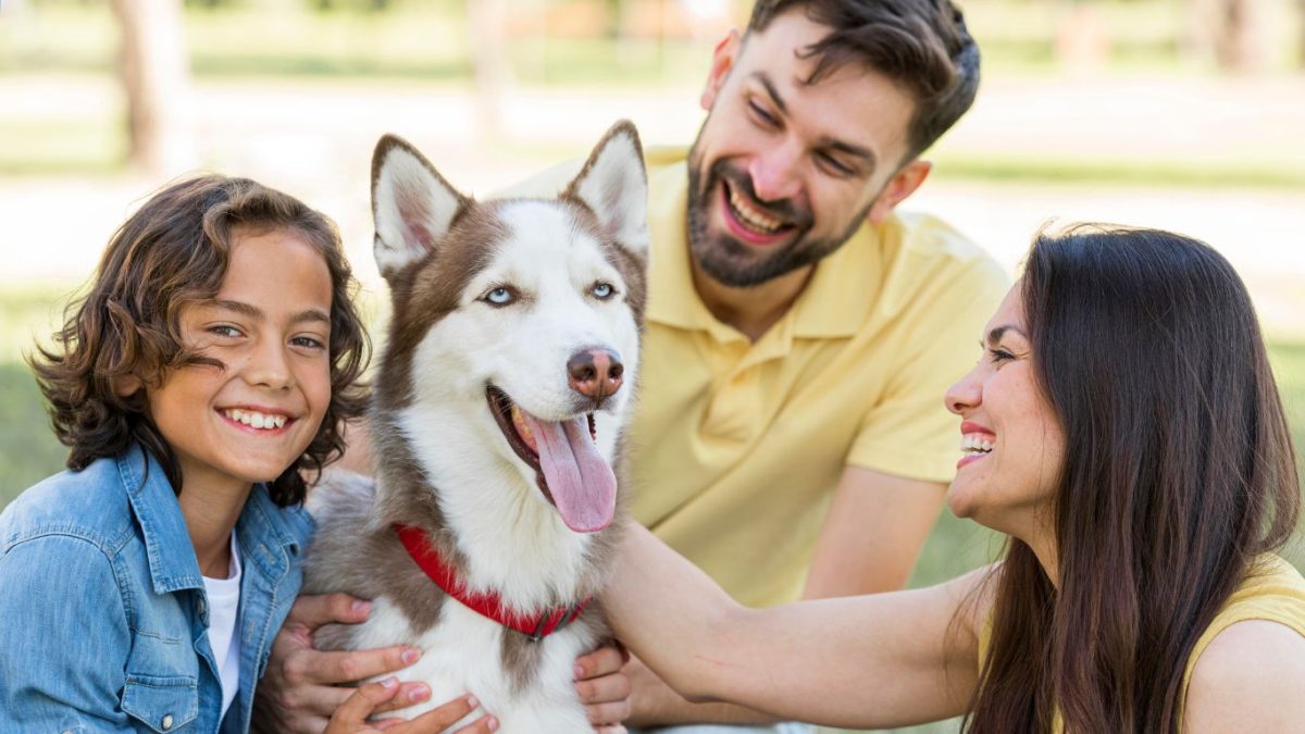 Direitos dos animais: veja o que a lei brasileira já garante aos pets