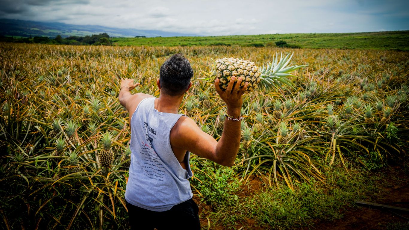 Império dos fazendeiros: o Brasil entre commodities e soberania