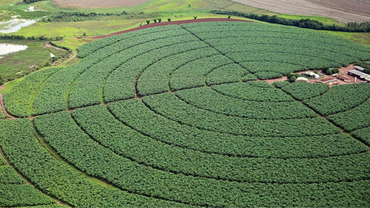 PIB do Brasil cresce 2,3% em 2025, diz IBGE