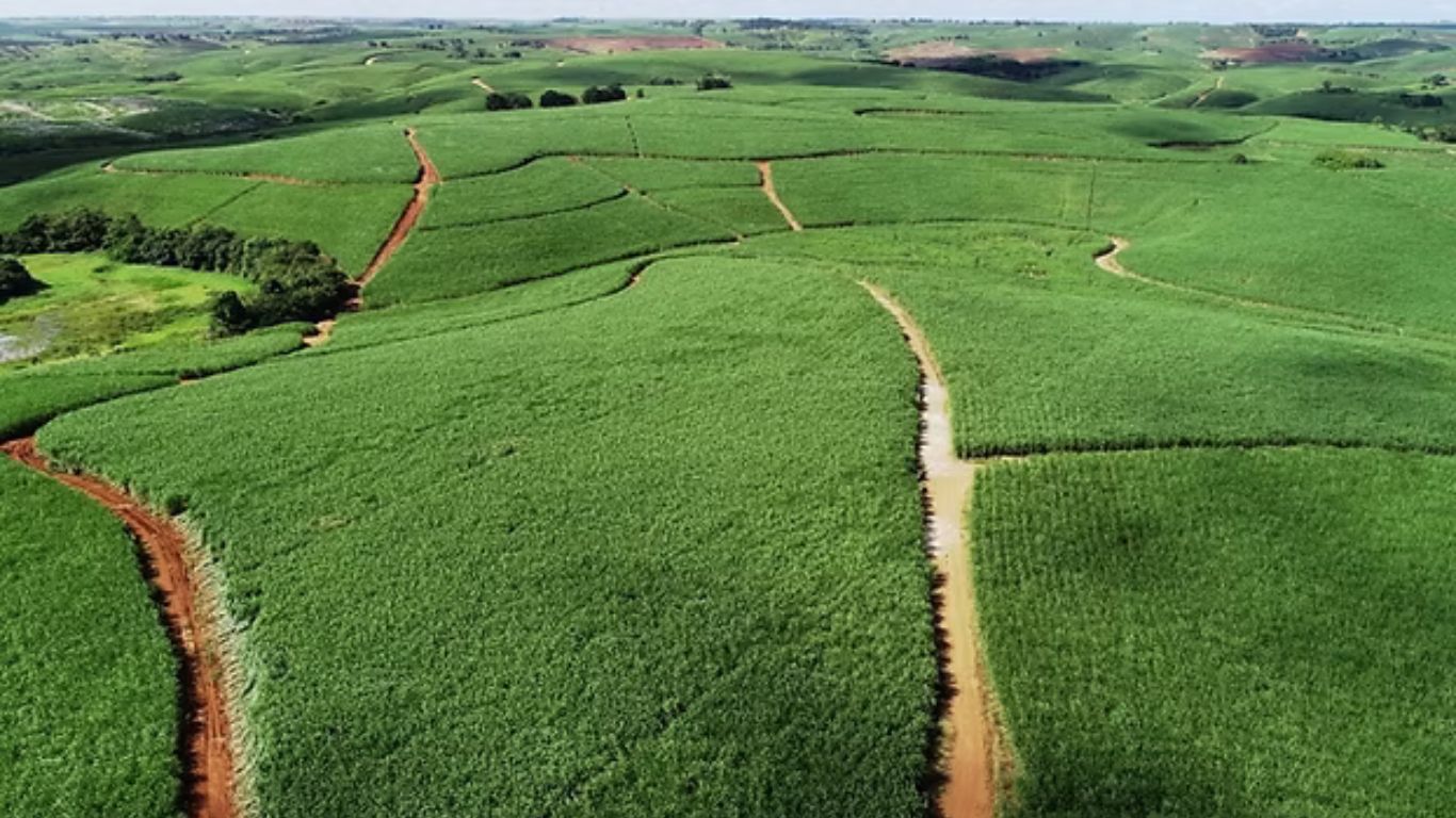 Machado Meyer estrutura Fiagro de R$ 85,6 mi para Grupo Olho D’Água