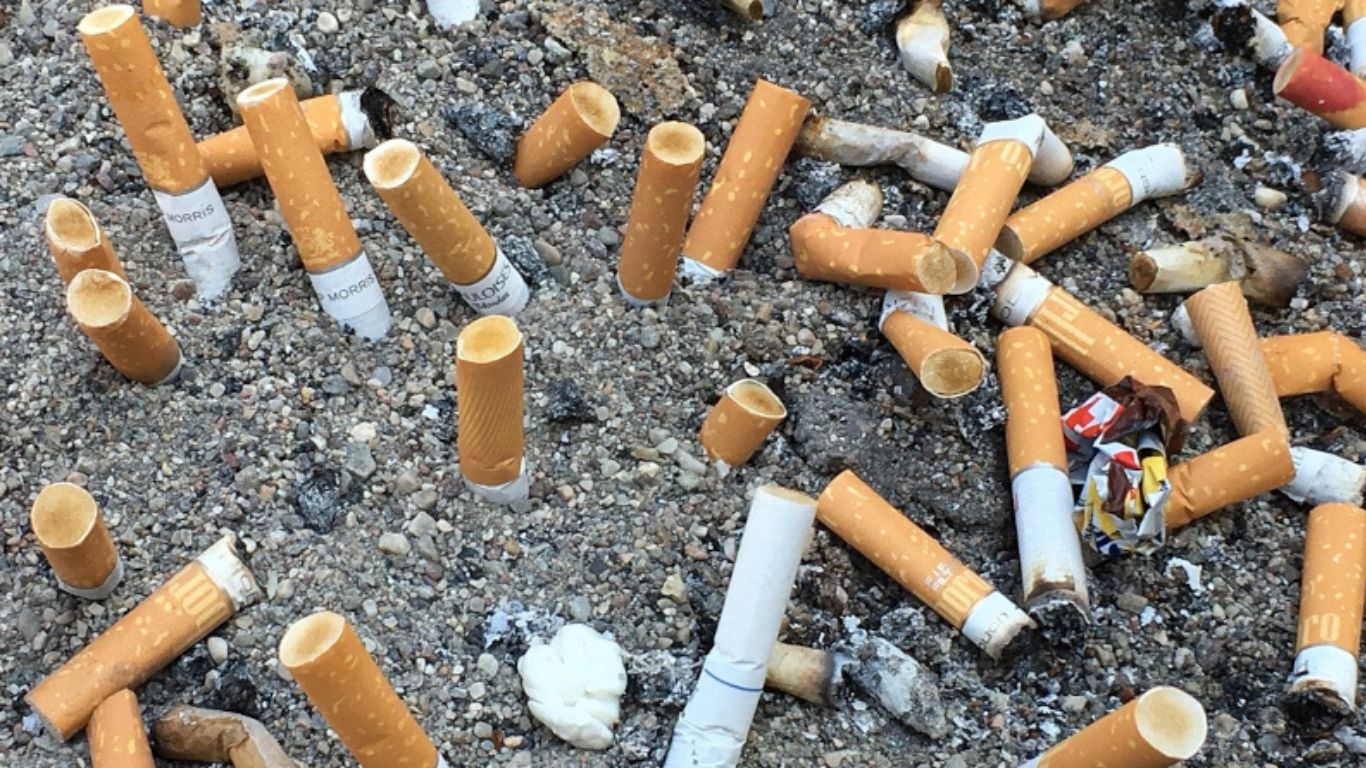 Brasil é o 4º país com mais bitucas de cigarro em praias no mundo