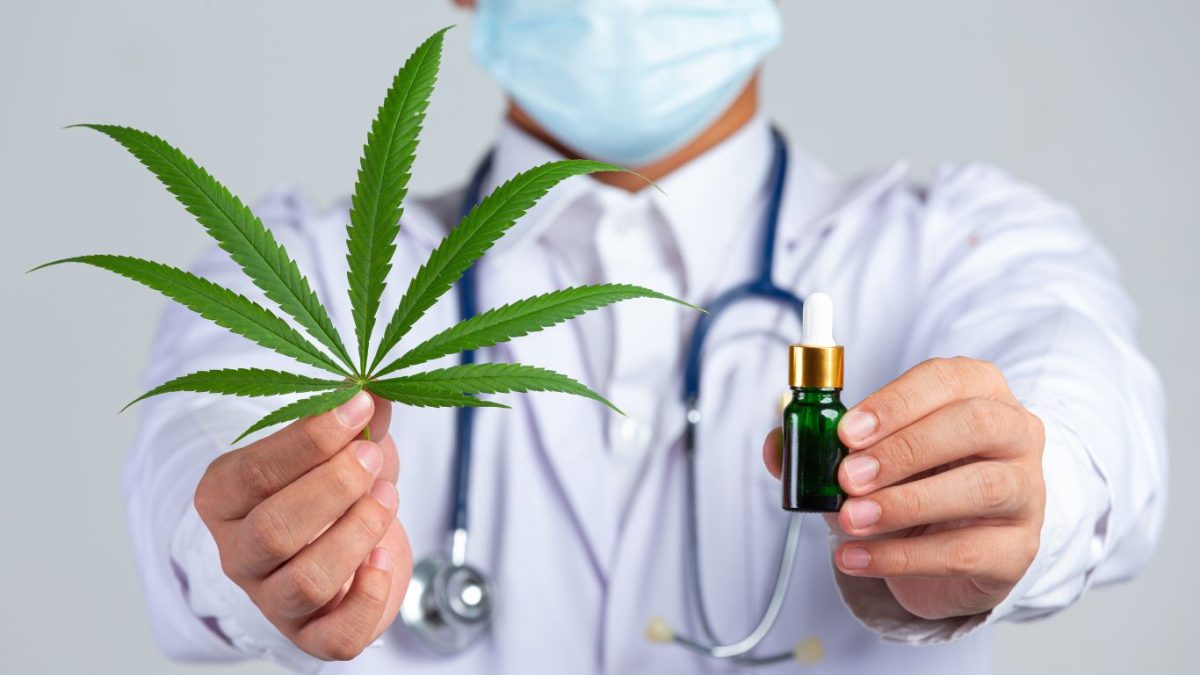 Cannabis medicinal: regulação sanitária e direito ao cuidado