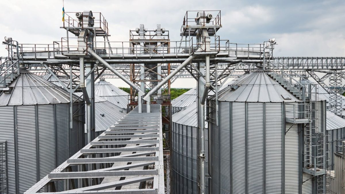 Petrobras amplia produção e quer suprir 35% dos fertilizantes do país