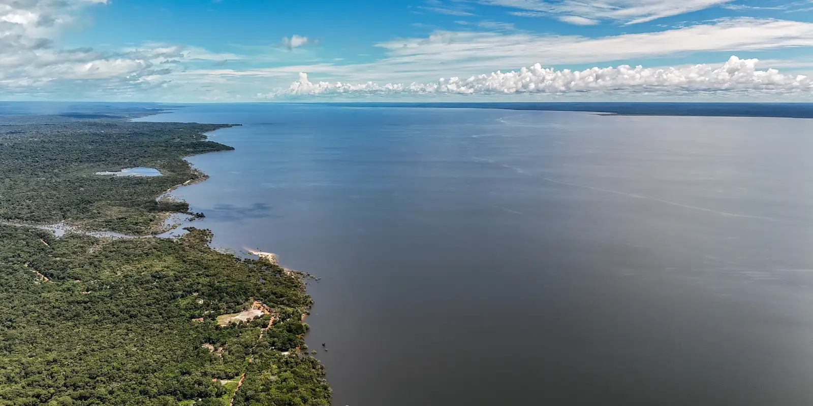 Dia do Meio Ambiente: crise climática cobra guinada em hábitos e descarte