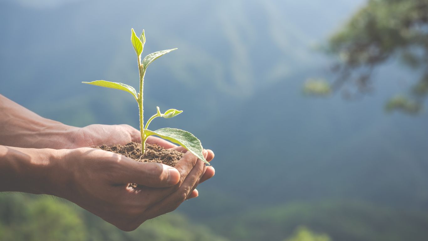 Responsabilidade ambiental dos financiadores na Lei Geral de Licenciamento Ambiental