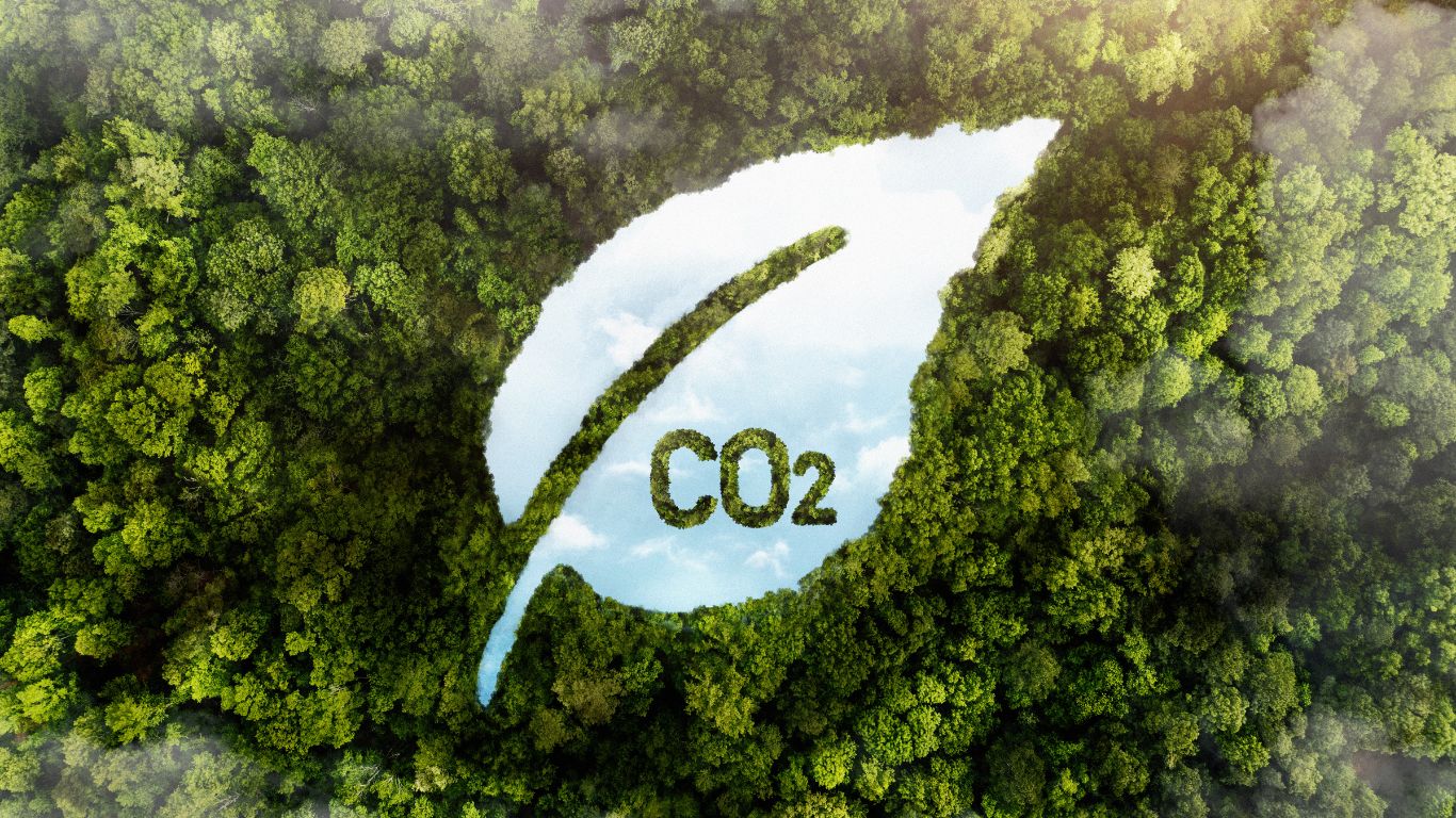 STF derruba regra que obrigava investimento em créditos de carbono